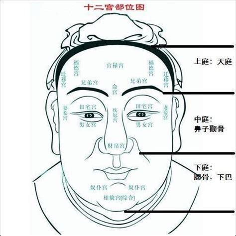 50歲後面相|【50至60歲面相】揭密！50至60歲面相圖解，掌握晚年運勢密碼